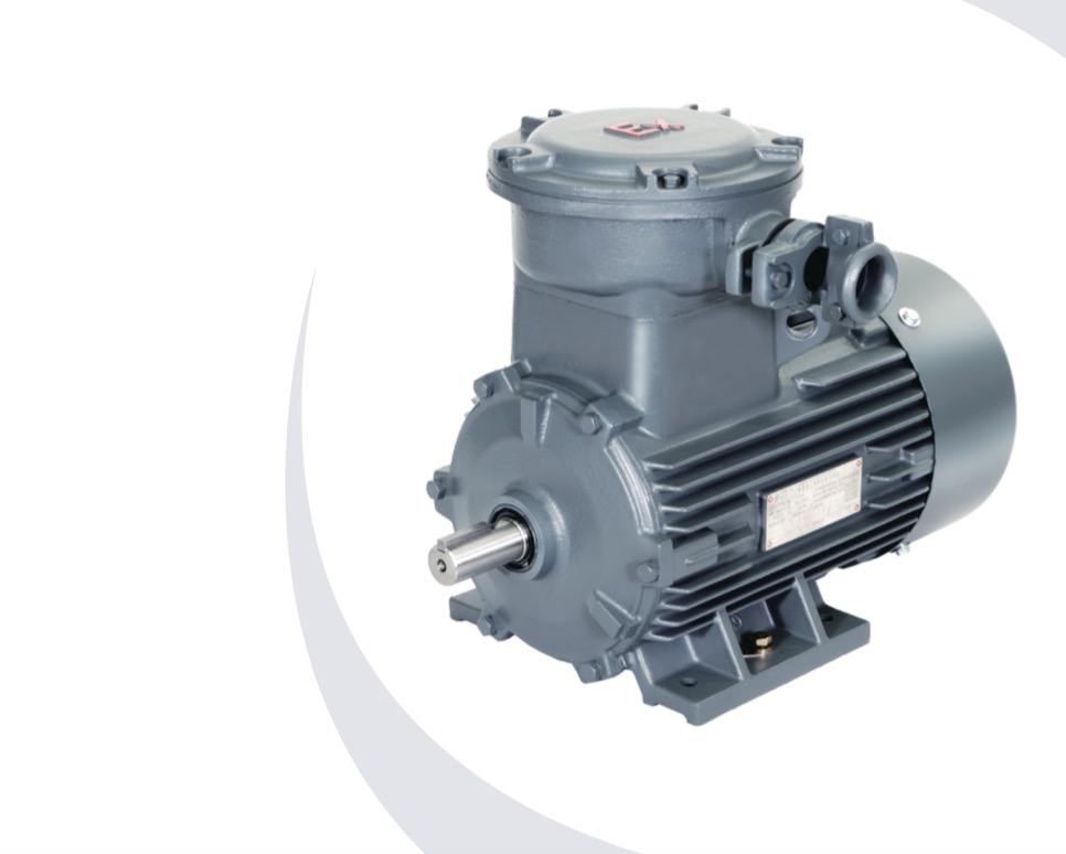 1MT0003 隔爆型三相异步电动机 | 茵梦达贝得电机