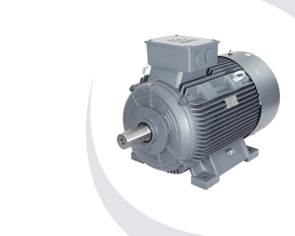 1MT0013 系列粉尘防爆低压三相异步电动机