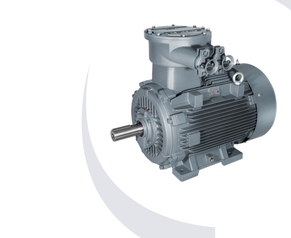 1MT8004/1MT8005 隔爆型三相异步电动机