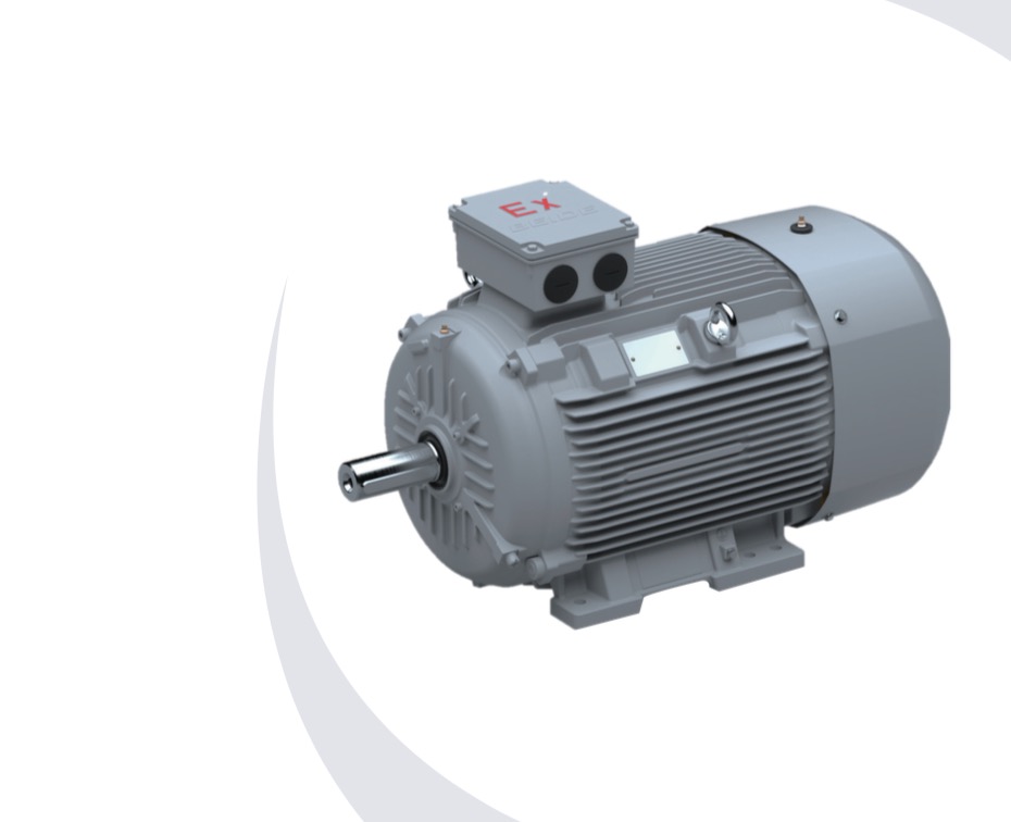 1MT8014 系列低压粉尘防爆电机