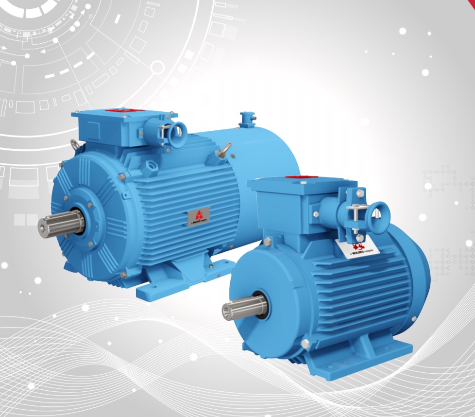 TYFB5系列粉尘防爆变频调速永磁同步电动机