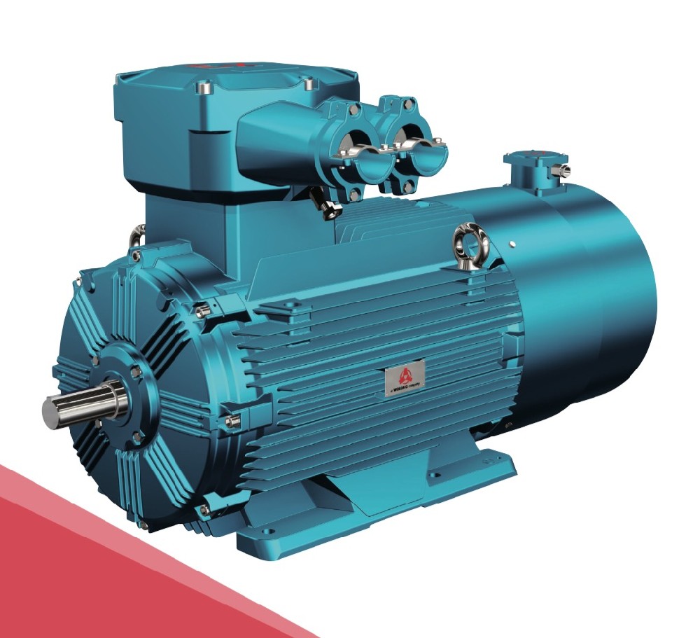 全新一代 YBBP系列隔爆型变频调速 三相异步电动机 ( 中心高 80~355)