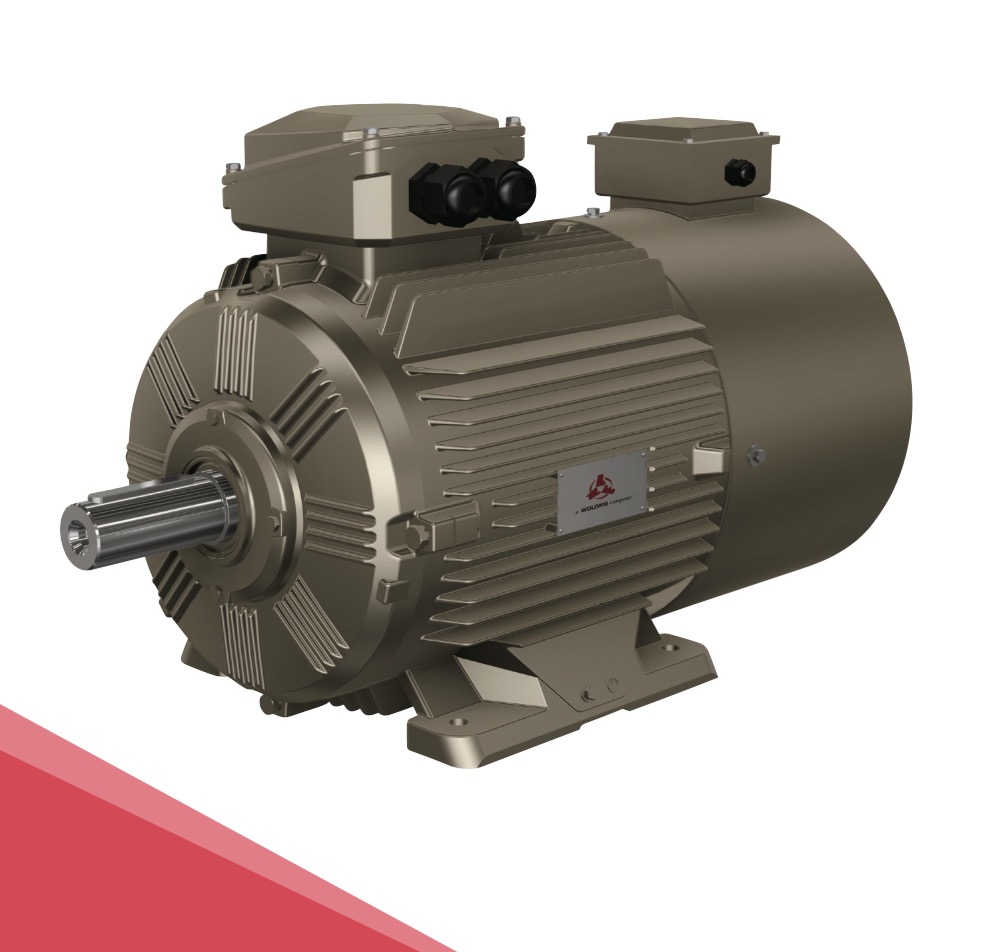 WEBP系列变频调速三相异步电动机 ( 中心高 80~355)