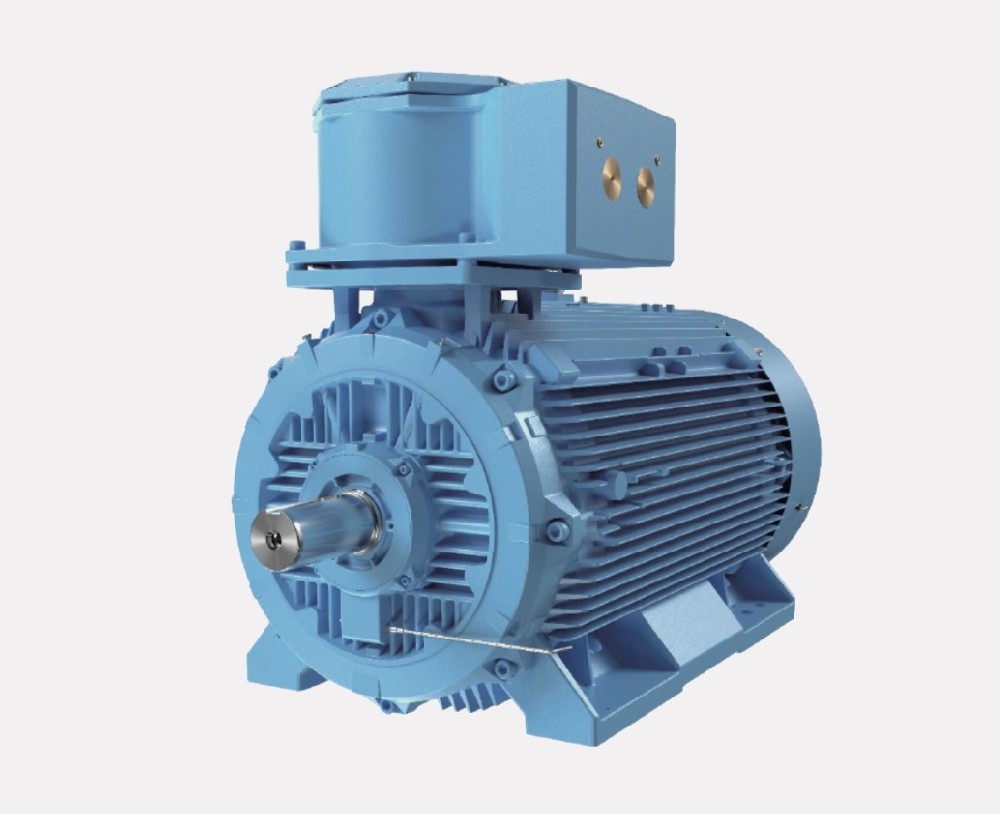 IE5M2JAX 危险环境用高效隔爆型三相异步电动机